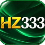 HZ333 Game