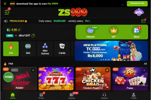 zs999 Game