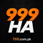 999ha game