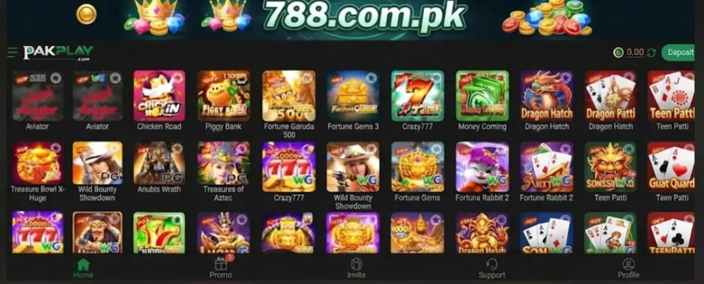 PAKPLAY Game