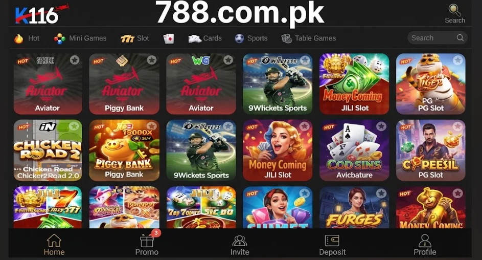 K116 Game image